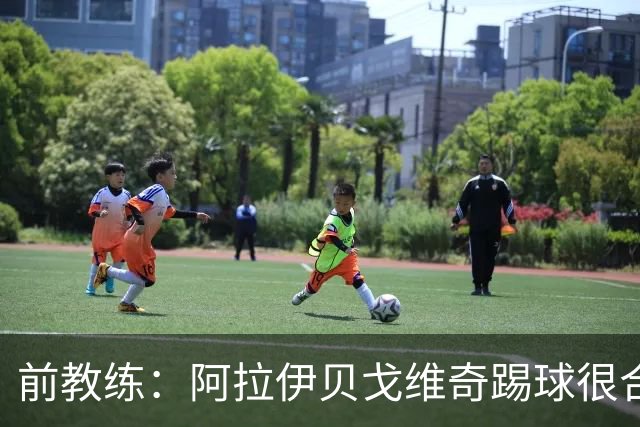 前教练：阿拉伊贝戈维奇踢球很合理，求胜欲也强无法接受失败